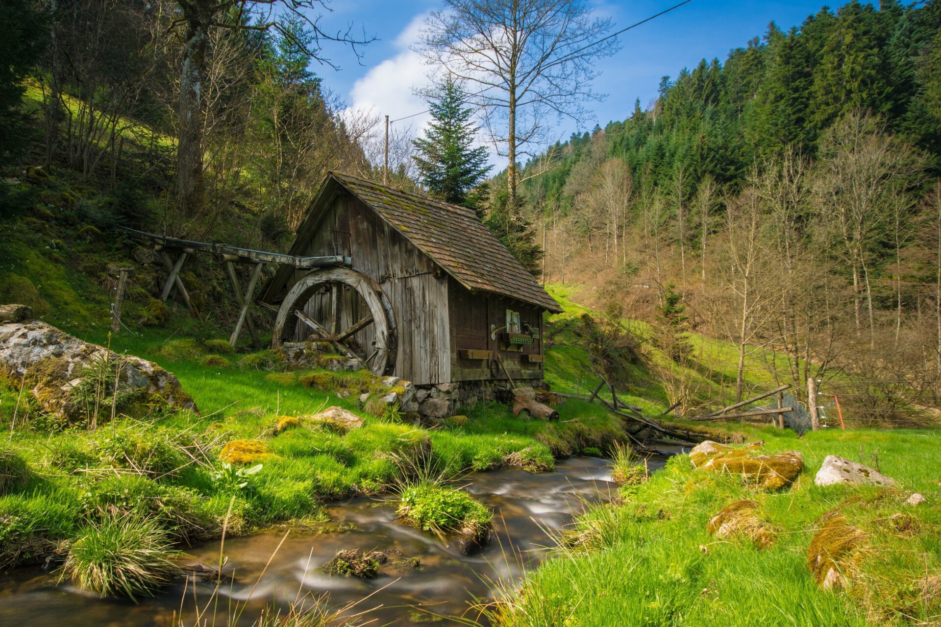 Tagesfahrten